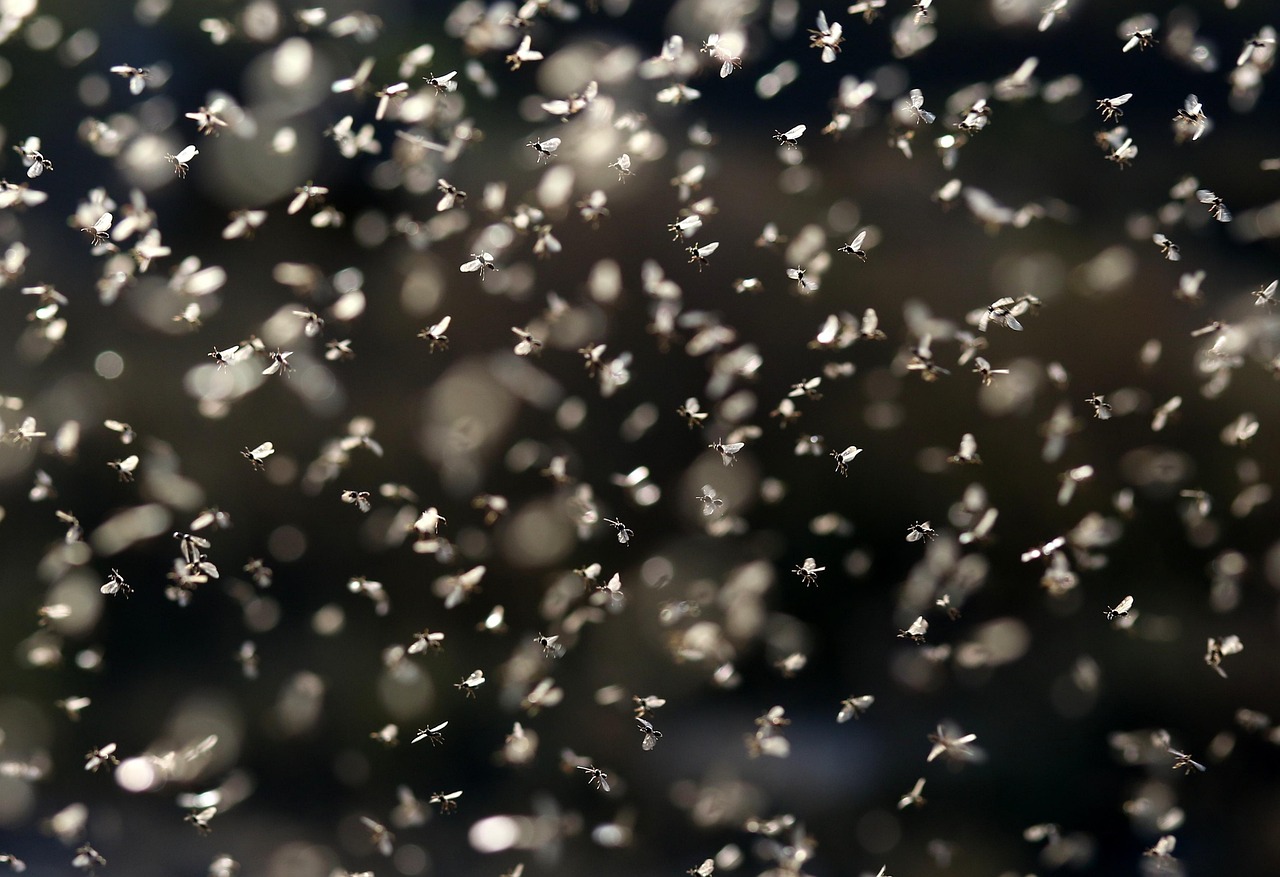 d&eacute;couvrez les strat&eacute;gies essentielles du marketing roi pour maximiser vos investissements et booster la rentabilit&eacute; de votre entreprise.